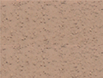 41X Pink-Solomon Colors-Atlas Preservation