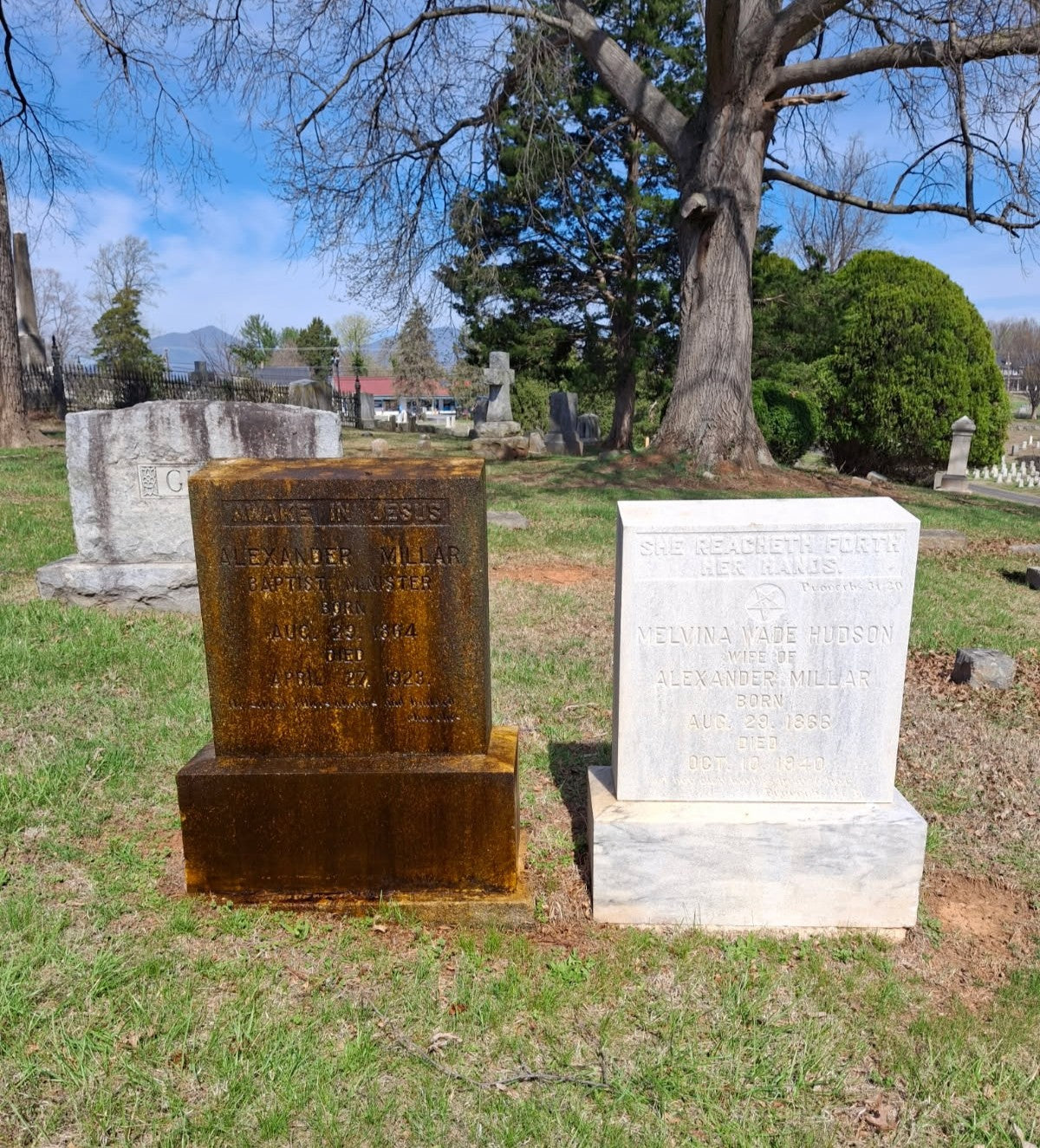 Gravestone & Monument Cleaning - Starter Set