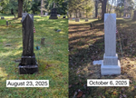 Gravestone & Monument Cleaning - Starter Set