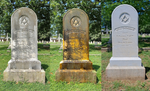 Endurance Gravestone & Monument Cleaner