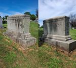 Endurance Gravestone & Monument Cleaner