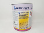 Strong 2000 - Consolidating Impregnator water repellent-Bellinzoni-Atlas Preservation