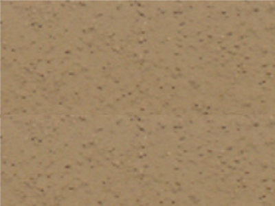 25X Deep Tan-Solomon Colors-Atlas Preservation