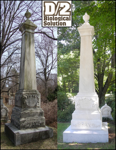 D/2 Biological Solution - 1 Gallon + 1 Quart Sprayer-D/2 Biological Solution-Atlas Preservation